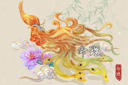 日历黄道吉日查今天,万年历日历查询农历,日历表2026日历全年表