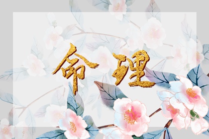 择吉老黄历,农历黄历,老黄历正版